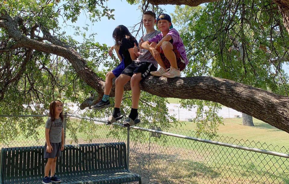 3 children sitting on a branch in a tree with a 4th on a bench looking up